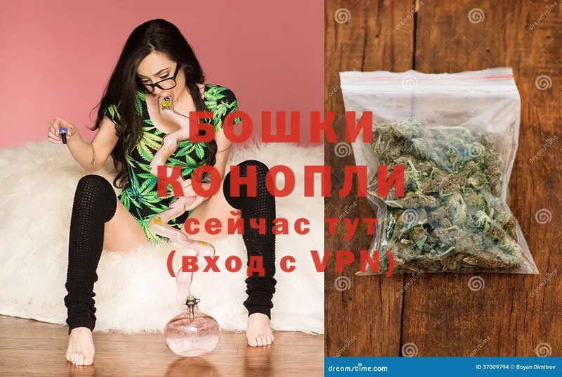 Конопля SATIVA & INDICA  Боровичи 